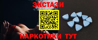 СК Кингисепп
