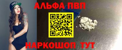 СК Кингисепп