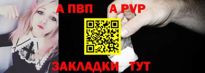 СК Кингисепп